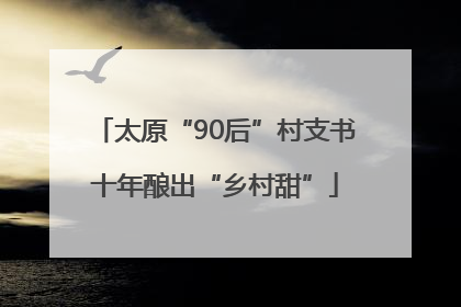 太原“90后”村支书十年酿出“乡村甜”