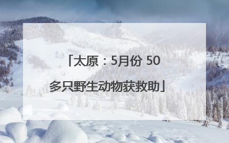 太原：5月份 50多只野生动物获救助