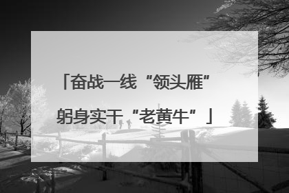 奋战一线“领头雁” 躬身实干“老黄牛”