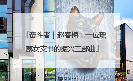 奋斗者｜赵春梅：一位瑶寨女支书的振兴三部曲