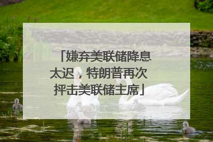 嫌弃美联储降息太迟，特朗普再次抨击美联储主席