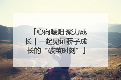 心向暖阳·聚力成长｜一起见证骄子成长的“破茧时刻”