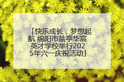 快乐成长，梦想起航 绵阳市盐亭华宸英才学校举行2025年六一庆祝活动