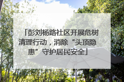彭刘杨路社区开展危树清理行动，消除“头顶隐患”守护居民安全