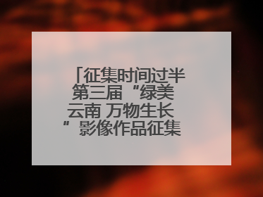 征集时间过半 第三届“绿美云南 万物生长”影像作品征集活动等你投稿