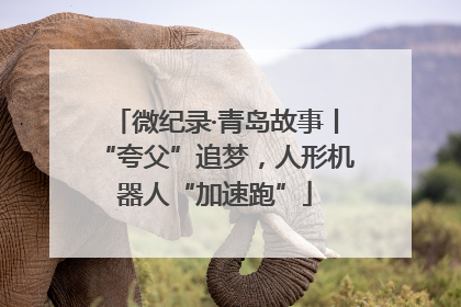 微纪录·青岛故事丨“夸父”追梦，人形机器人“加速跑”