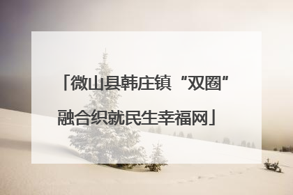 微山县韩庄镇“双圈”融合织就民生幸福网