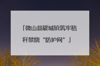 微山县驩城镇筑牢秸秆禁烧“防护网”