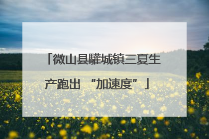 微山县驩城镇三夏生产跑出 “加速度”