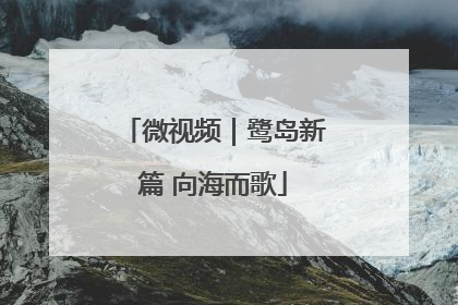 微视频｜鹭岛新篇 向海而歌