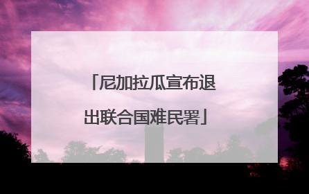 尼加拉瓜宣布退出联合国难民署