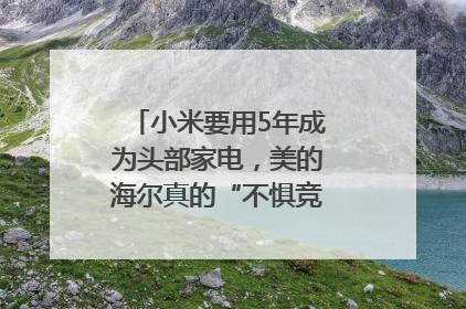 小米要用5年成为头部家电，美的海尔真的“不惧竞争”？｜热财经