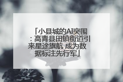 小县城的AI突围：高青县田镇街道引来星途旗航 成为数据标注先行军