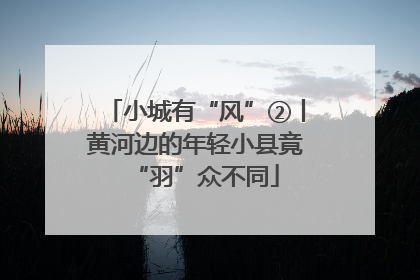 小城有“风”②丨黄河边的年轻小县竟“羽”众不同