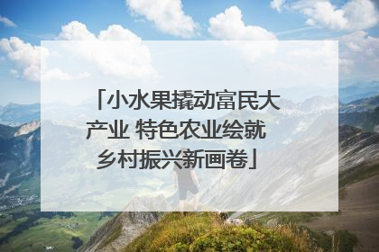 小水果撬动富民大产业 特色农业绘就乡村振兴新画卷