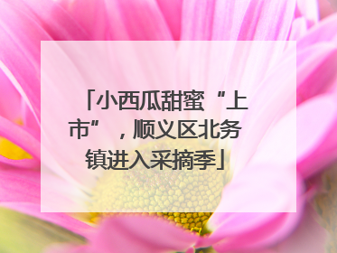 小西瓜甜蜜“上市”，顺义区北务镇进入采摘季