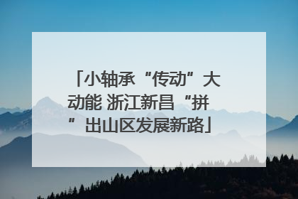 小轴承“传动”大动能 浙江新昌“拼”出山区发展新路