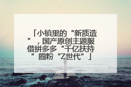 小镇里的“新质造”，国产原创主题服借拼多多“千亿扶持”圈粉“Z世代”