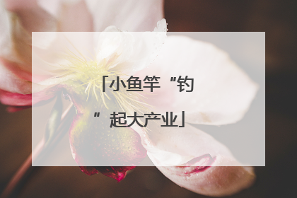 小鱼竿“钓”起大产业