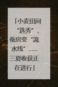 小麦田间“选秀”、蚕房变“流水线”……三夏收获正在进行