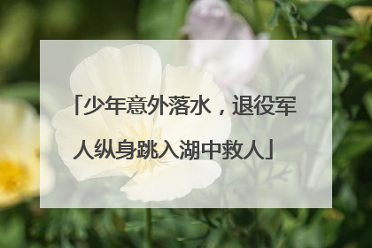 少年意外落水，退役军人纵身跳入湖中救人