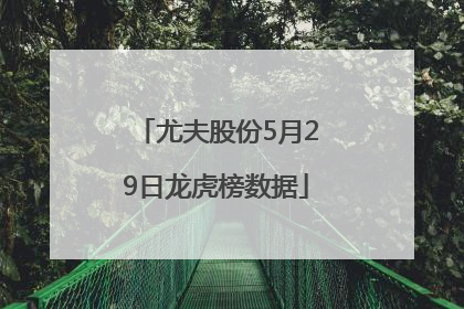 尤夫股份5月29日龙虎榜数据