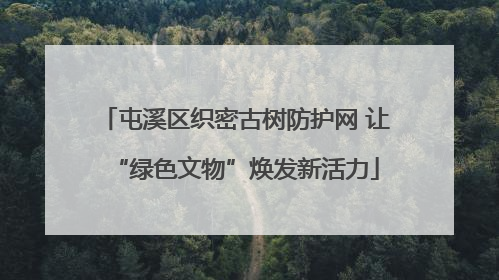 屯溪区织密古树防护网 让“绿色文物”焕发新活力