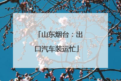 山东烟台：出口汽车装运忙