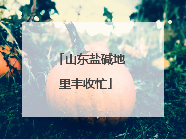 山东盐碱地里丰收忙