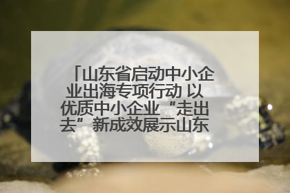 山东省启动中小企业出海专项行动 以优质中小企业“走出去”新成效展示山东产业发展新形象