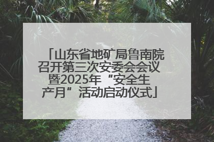 山东省地矿局鲁南院召开第三次安委会会议暨2025年“安全生产月”活动启动仪式