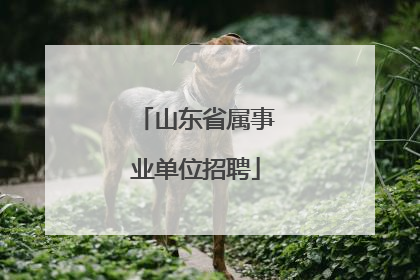 山东省属事业单位招聘