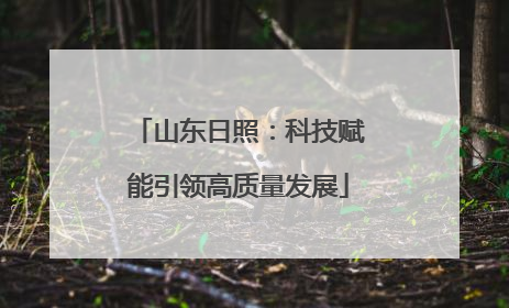 山东日照：科技赋能引领高质量发展