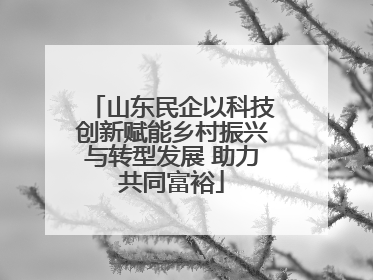 山东民企以科技创新赋能乡村振兴与转型发展 助力共同富裕