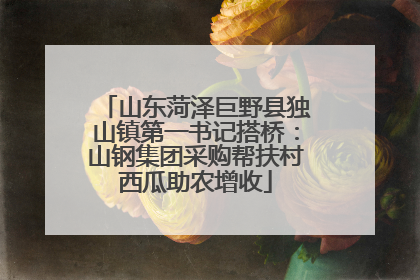 山东菏泽巨野县独山镇第一书记搭桥：山钢集团采购帮扶村西瓜助农增收