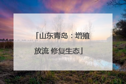 山东青岛：增殖放流 修复生态
