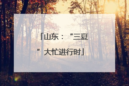 山东：“三夏”大忙进行时