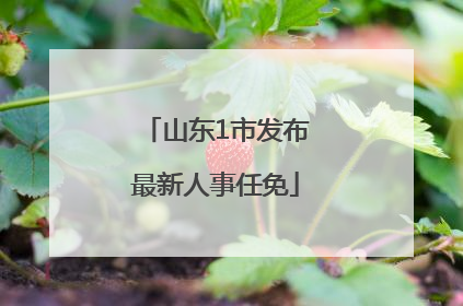 山东1市发布最新人事任免