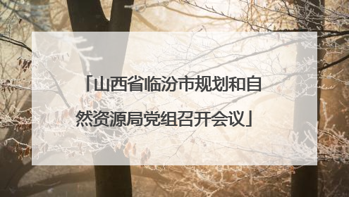 山西省临汾市规划和自然资源局党组召开会议