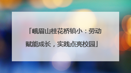峨眉山桂花桥镇小：劳动赋能成长，实践点亮校园