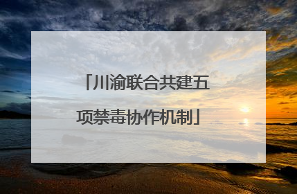 川渝联合共建五项禁毒协作机制