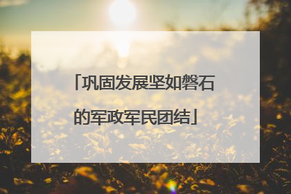 巩固发展坚如磐石的军政军民团结