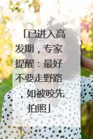 已进入高发期，专家提醒：最好不要走野路，如被咬先拍照