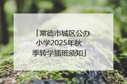 常德市城区公办小学2025年秋季转学插班须知