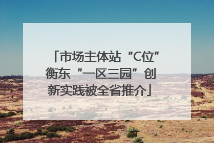 市场主体站“C位” 衡东“一区三园”创新实践被全省推介