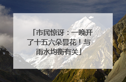 市民惊讶：一晚开了十五六朵昙花！与雨水均衡有关