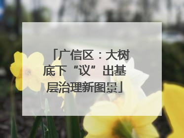 广信区：大树底下“议”出基层治理新图景