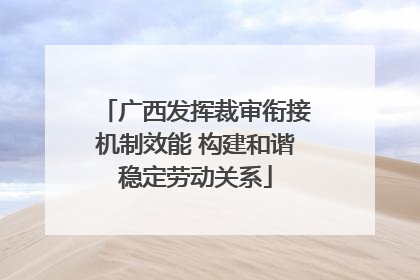 广西发挥裁审衔接机制效能 构建和谐稳定劳动关系