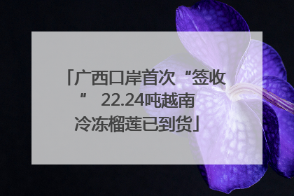 广西口岸首次“签收” 22.24吨越南冷冻榴莲已到货