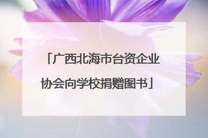 广西北海市台资企业协会向学校捐赠图书